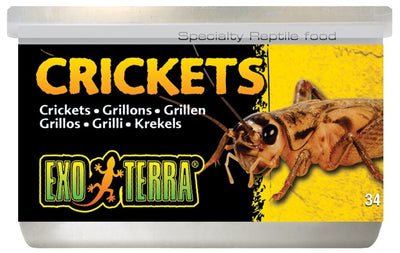 Exo Terra Canned Crickets Small - Woonona Petfood & Produce