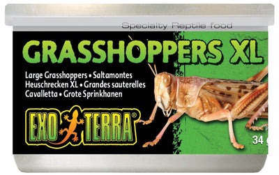 Exo Terra Canned Grasshoppers XLarge 34g - Woonona Petfood & Produce