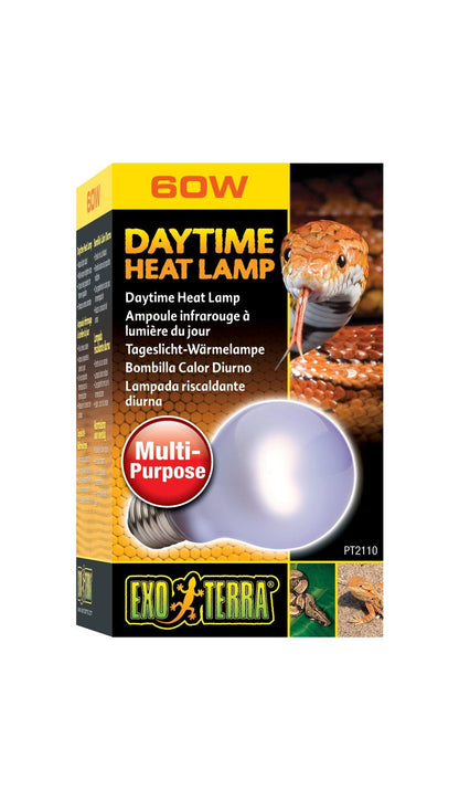 Exo Terra Day Glo Bulb 60W - Woonona Petfood & Produce
