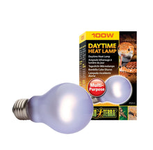 Exo Terra Day Glo Bulb - Woonona Petfood & Produce