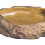 Exo Terra Feeding Dish Medium - Woonona Petfood & Produce