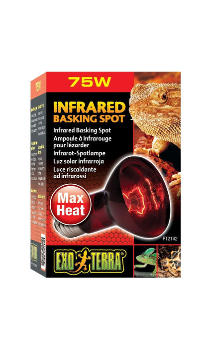Exo Terra Heat Glo Infared Lamp - Woonona Petfood & Produce