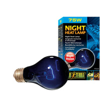 Exo Terra Night Glo 75W - Woonona Petfood & Produce