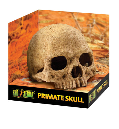 Exo Terra Primate Skull Large - Woonona Petfood & Produce