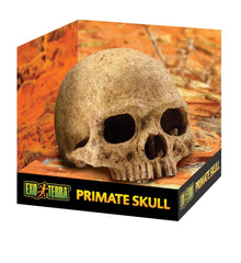 Exo Terra Primate Skull Large - Woonona Petfood & Produce