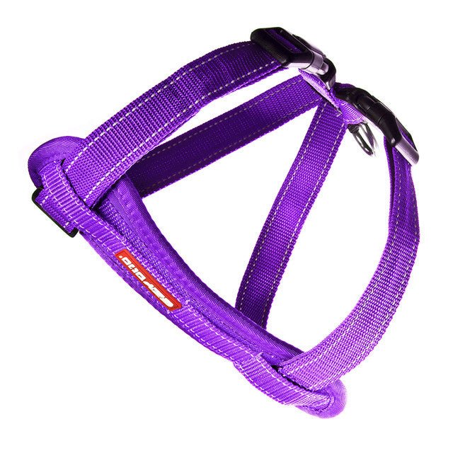 Ezydog Chest Harness Purple - Woonona Petfood & Produce