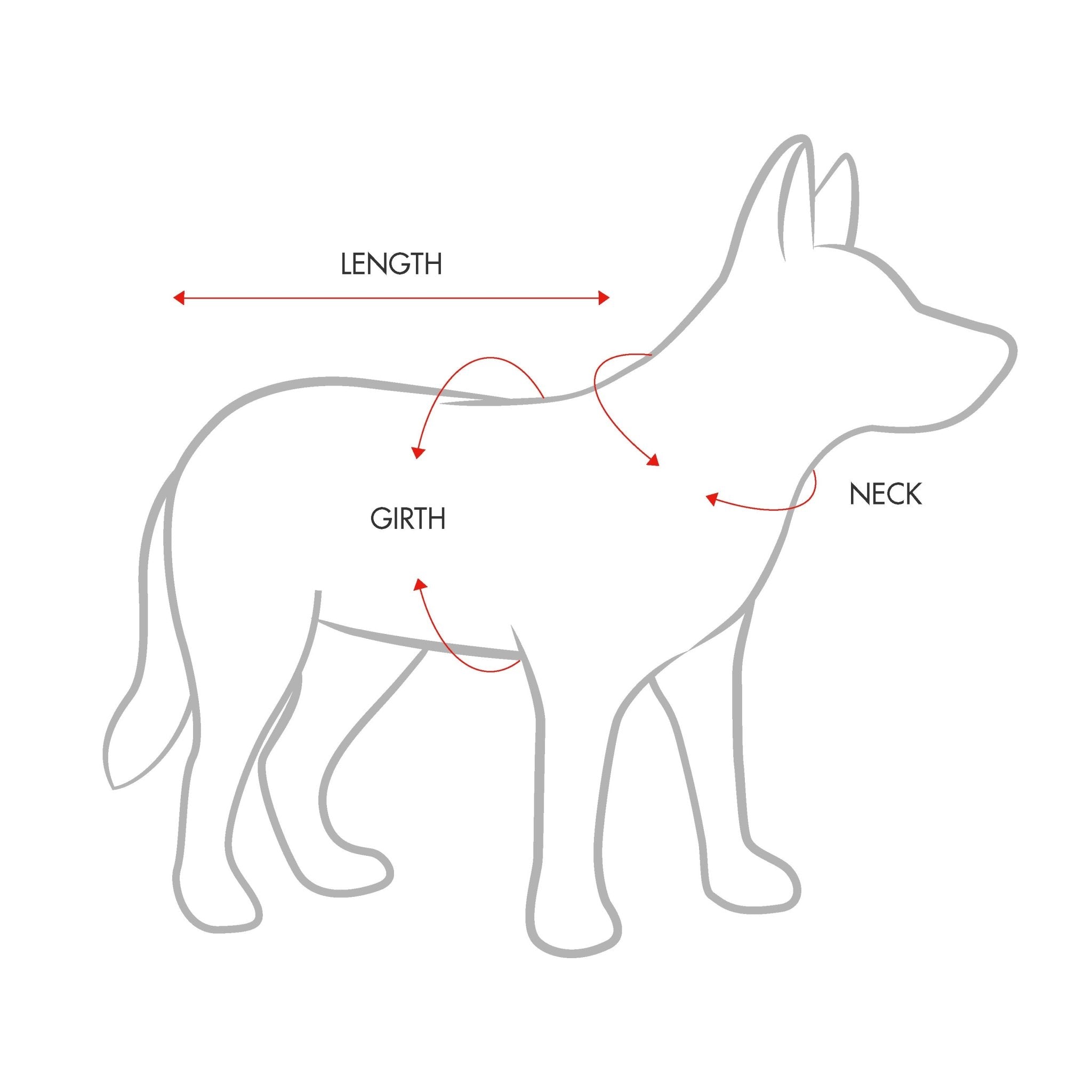 Ezydog harness hotsell size guide