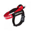 Ezydog Harness Express Red - Woonona Petfood & Produce