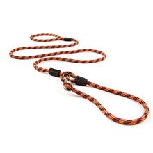Ezydog Leash Luca 67" - Woonona Petfood & Produce