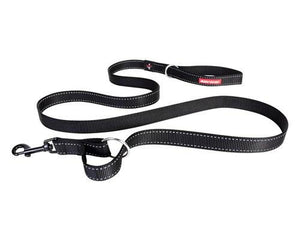Dog Collars, Leads & Harnesses image
