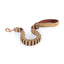 Ezydog Leash Zero Shock Corduroy - Woonona Petfood & Produce