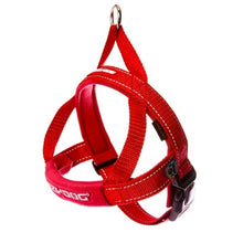 Ezydog Quick Fit Harness Red - Woonona Petfood & Produce
