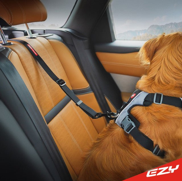 Ezydog Standard Seatbelt Attachment Black - Woonona Petfood & Produce