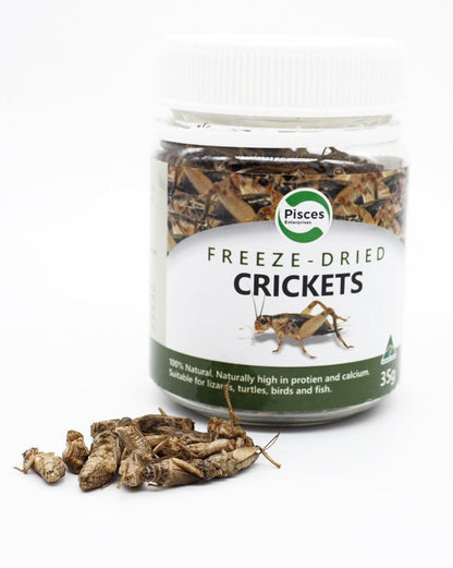 Freeze-Dried Crickets Jar Pisces 35g - Woonona Petfood & Produce