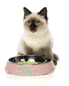 Fuzzyard Cat Bowl Featherstorm Small - Woonona Petfood & Produce