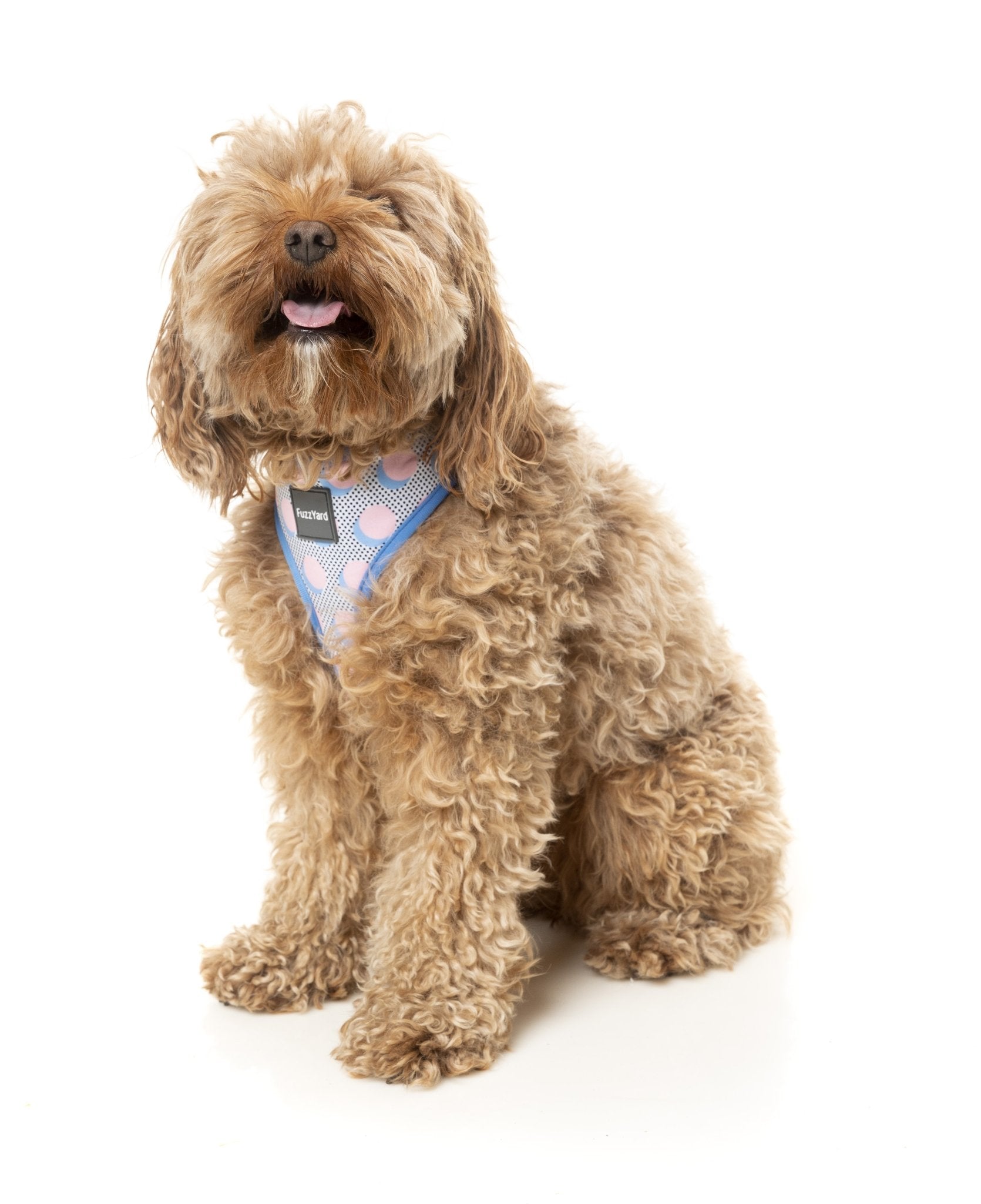 Fuzzyard Dippin Dog Harness - Woonona Petfood & Produce