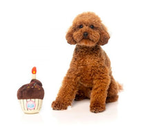 Fuzzyard Dog Toy - Birthday Cupcake - Woonona Petfood & Produce