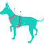 Fuzzyard Go Nuts Dog Harness - Woonona Petfood & Produce