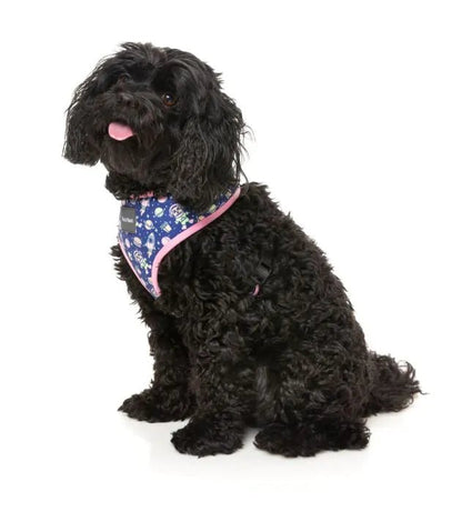 Fuzzyard Pluto Pup Harness - Woonona Petfood & Produce