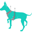 Fuzzyard Prism Dog Harness - Woonona Petfood & Produce