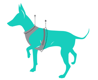 Fuzzyard South Beach Dog Harness - Woonona Petfood & Produce