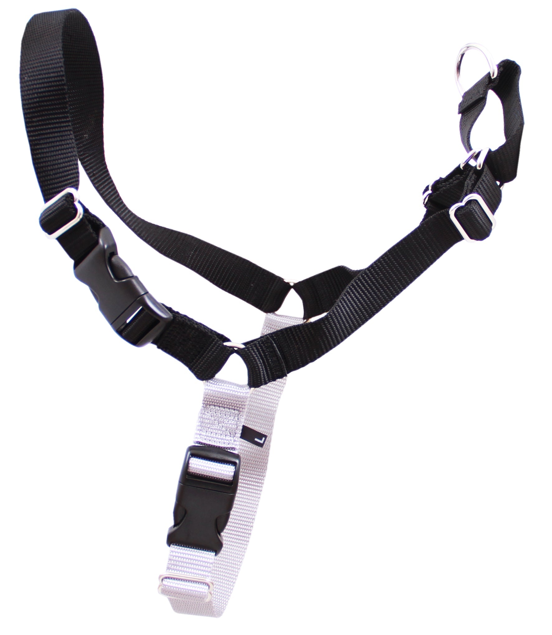 Gentle leader outlet harness