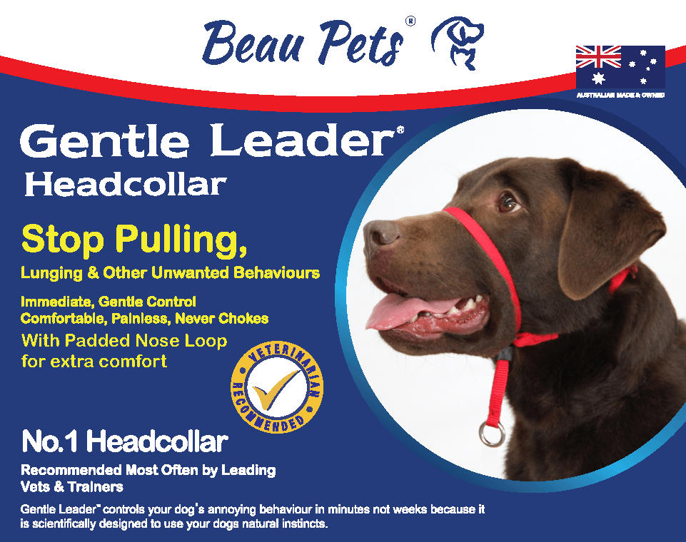 Gentle Leader Head Collar Blue - Woonona Petfood & Produce