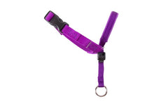 Gentle Leader Head Collar Purple - Woonona Petfood & Produce