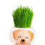 Grass Grow Kit Puppy Border Collie - Woonona Petfood & Produce