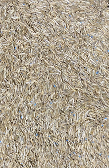 Grass Seed Parklands Mix - Woonona Petfood & Produce