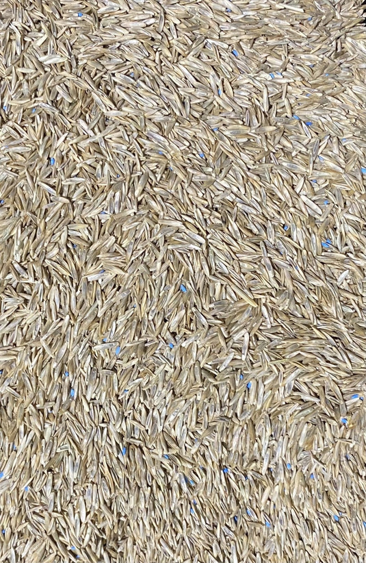 Grass Seed Parklands Mix - Woonona Petfood & Produce