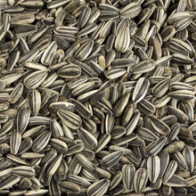 Grey Striped Sunflower Avigrain - Woonona Petfood & Produce