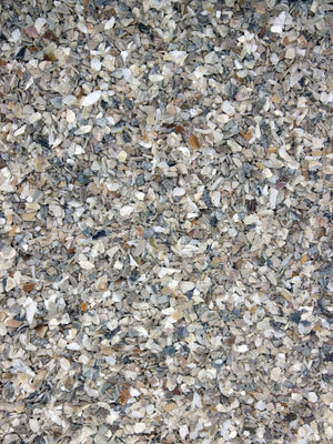 Hermit Crab Bedding image