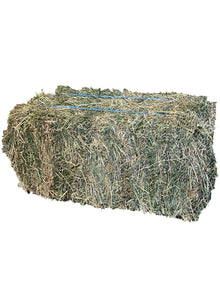Hay Lucerne 2nd Grade - Woonona Petfood & Produce