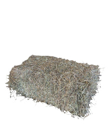 Hay Meadow Rye Grass - Woonona Petfood & Produce