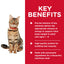 Hill's Science Diet Adult Healthy Cuisine Chicken & Rice Medley Canned Cat Food 24x79g - Woonona Petfood & Produce