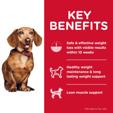 Hill's Science Diet Perfect Weight Small & Mini Adult Dry Dog Food - Woonona Petfood & Produce