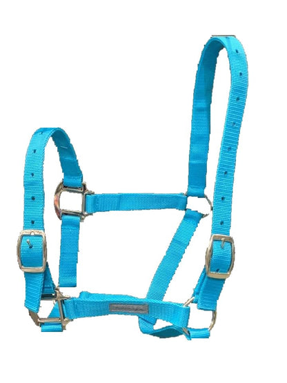 Horse Halter Daily - Woonona Petfood & Produce
