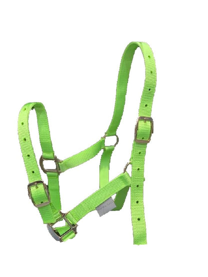 Horse Halter Daily - Woonona Petfood & Produce