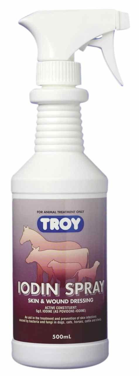 Iodine spray outlet for dogs