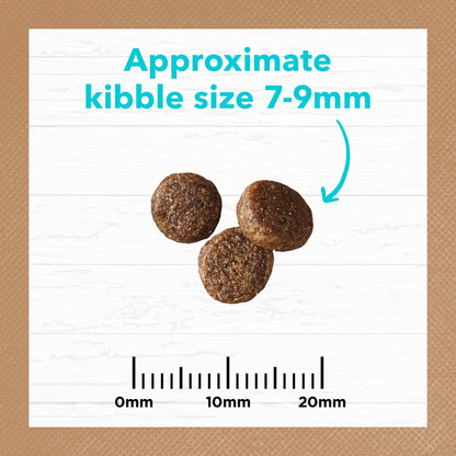 Ivory Coat Grain Free Cat Dry Food Kitten Ocean Fish 2kg - Woonona Petfood & Produce