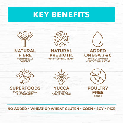 Ivory Coat Grain Free Cat Dry Food Kitten Ocean Fish 2kg - Woonona Petfood & Produce