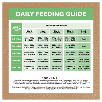Ivory Coat Grain Free Dry Dog Food Puppy Large Breed Lamb - Woonona Petfood & Produce