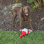 Kazoo Christmas Long Legged Santa Giant - Woonona Petfood & Produce