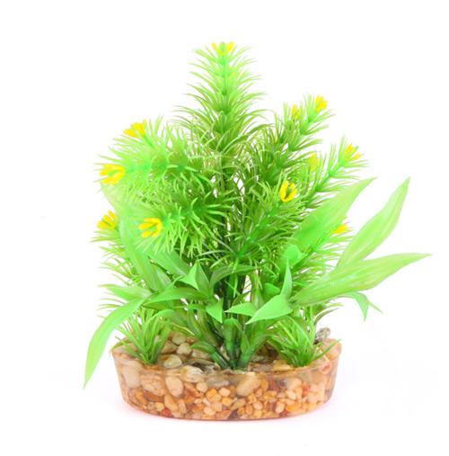 Kazoo Combo Bush With Yellow Flower 15cm - Woonona Petfood & Produce