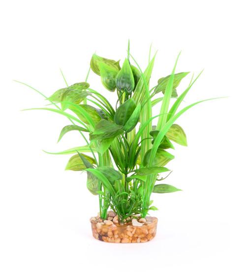 Kazoo Combo Plant Thin Leaf With Spot - Woonona Petfood & Produce