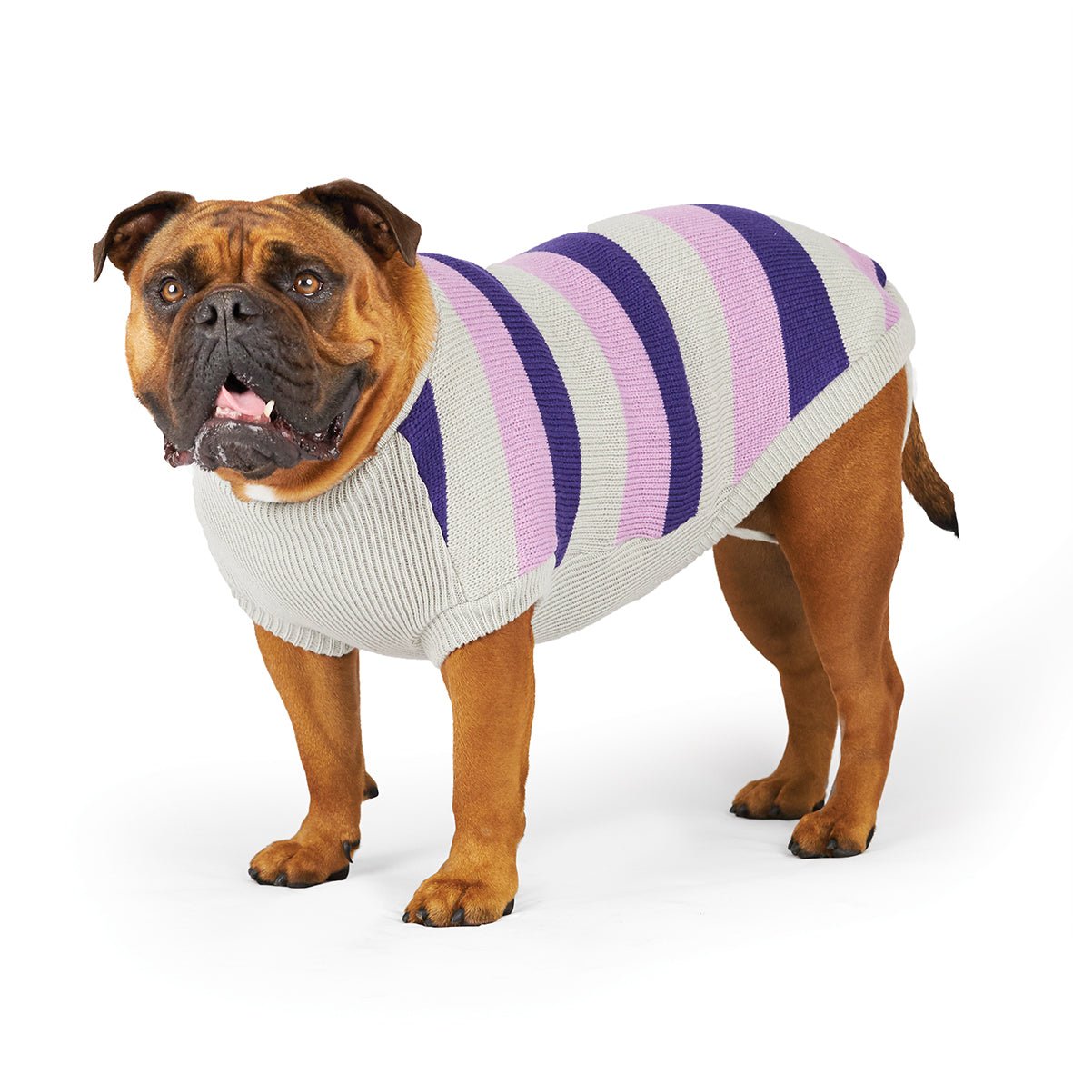 Kazoo Dog Coat Bumble Jumper Lavender - Woonona Petfood & Produce