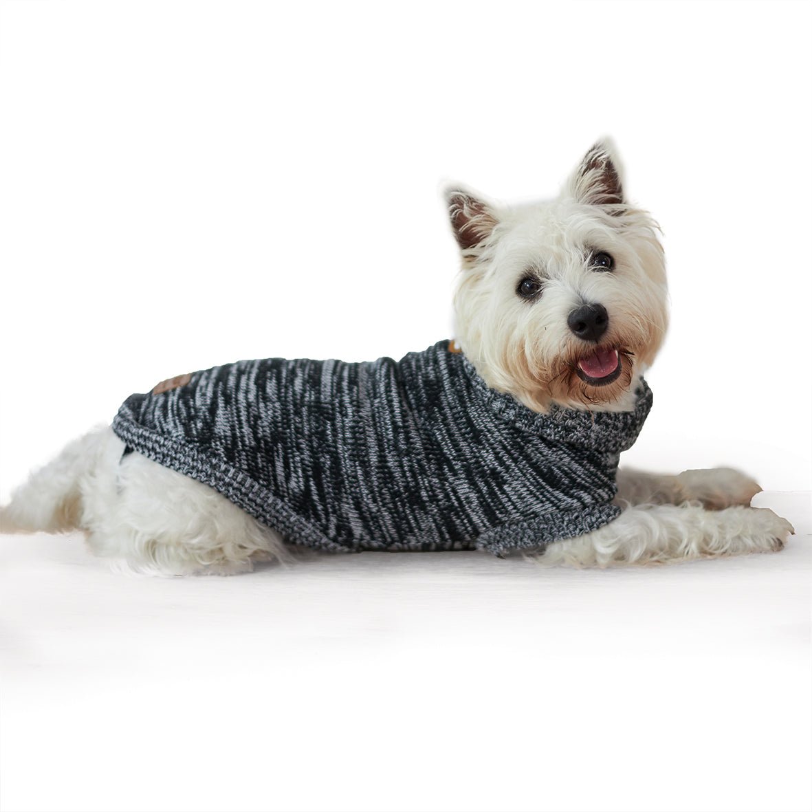 Dog roll outlet neck jumper