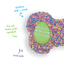 Kazoo Easter Bone Cookie Assorted Colours - Woonona Petfood & Produce
