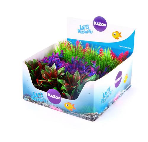 Kazoo Mini Assorted Plants - Woonona Petfood & Produce